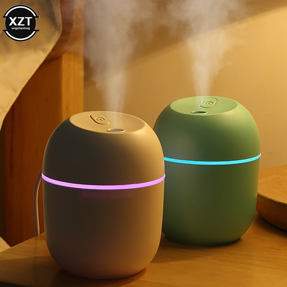 Oil Mister Spray Bottle - Humidificador USB de 220 ml, Atomizador,