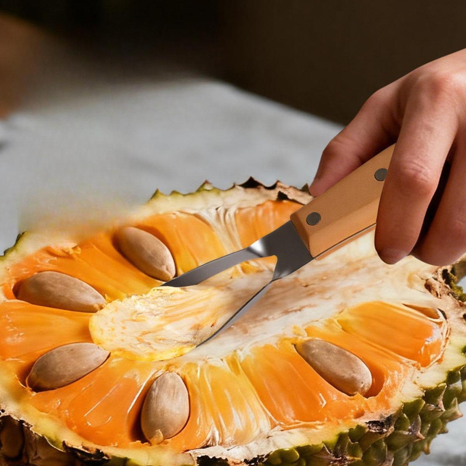 Descorazonador de Jaca, Portát - Kitchen Gadgets Store reseña y precio