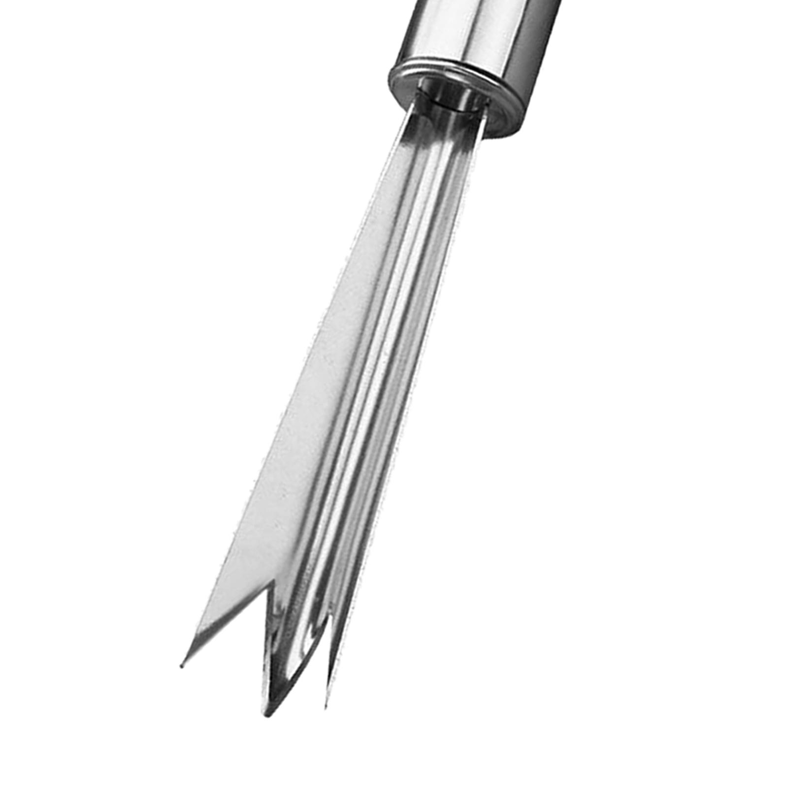 Pelador de Piña, Práctico Gadg - Kitchen Gadgets Store reseña y precio